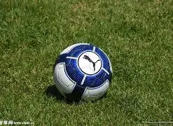 杨紫张艺兴,节目中同穿,情侣装,开元体育官网,开元棋牌品牌,开元体育精彩,开元棋牌